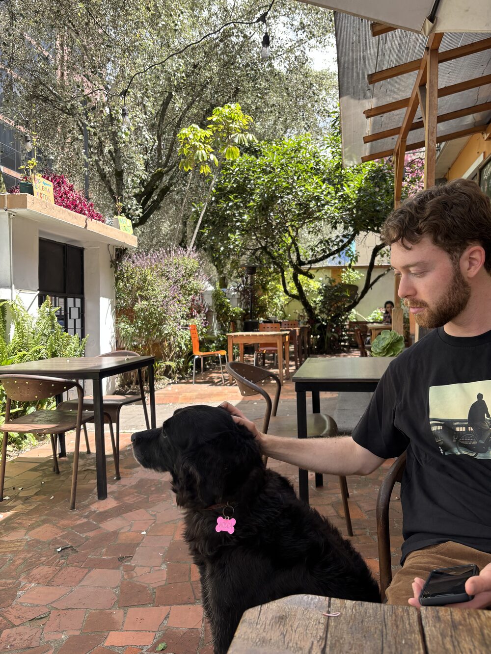 Noah petting a dog